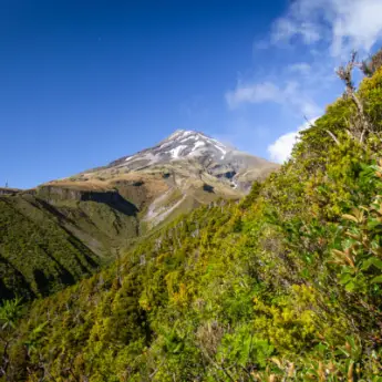 Best Hikes on New Zealand’s North Island