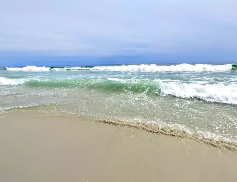 Robert Moses State Park is one of the best beaches on the east coast.