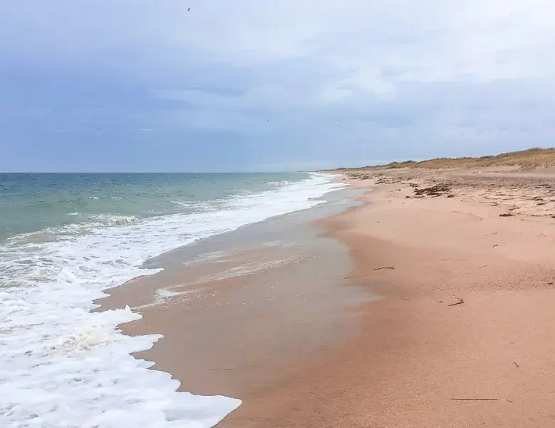 South Beach is one of the best beaches on the east coast of USA.