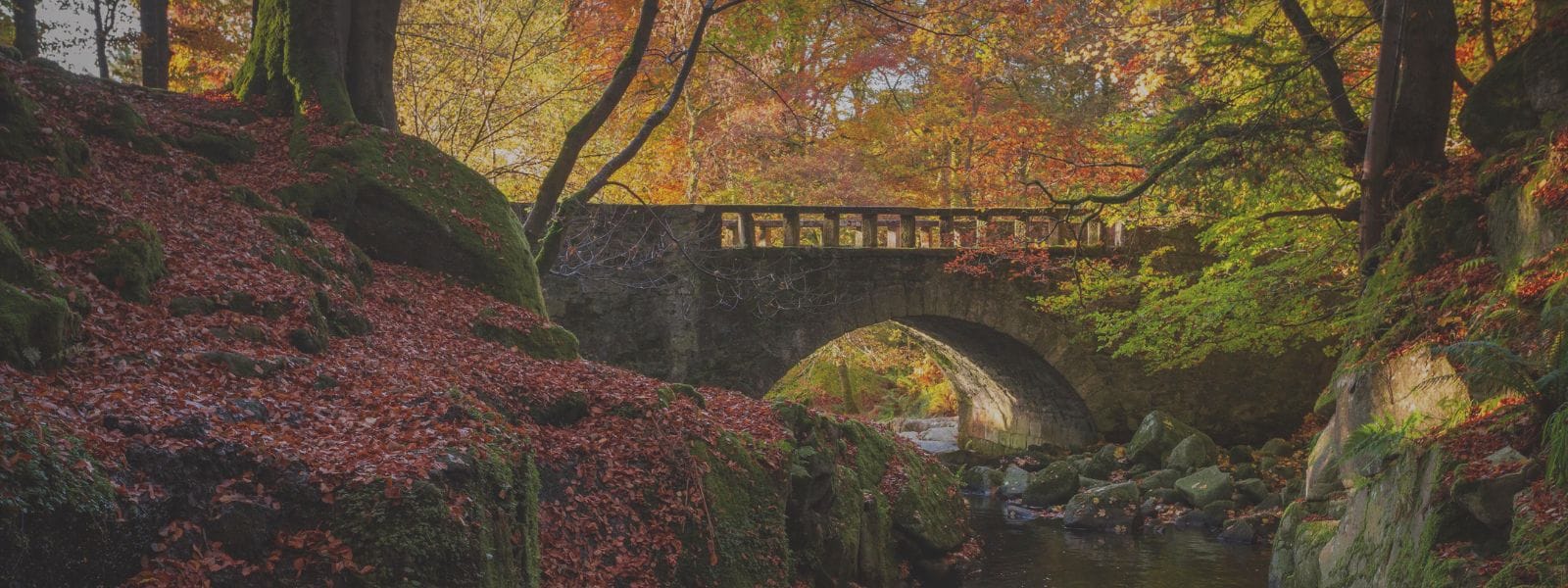 Autumn in Ireland: A Guide to the Country