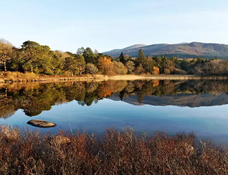 Killarney National Park, Ireland in the fall