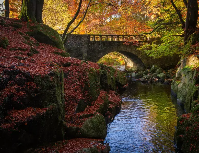 Autumn in Ireland - Wicklow County