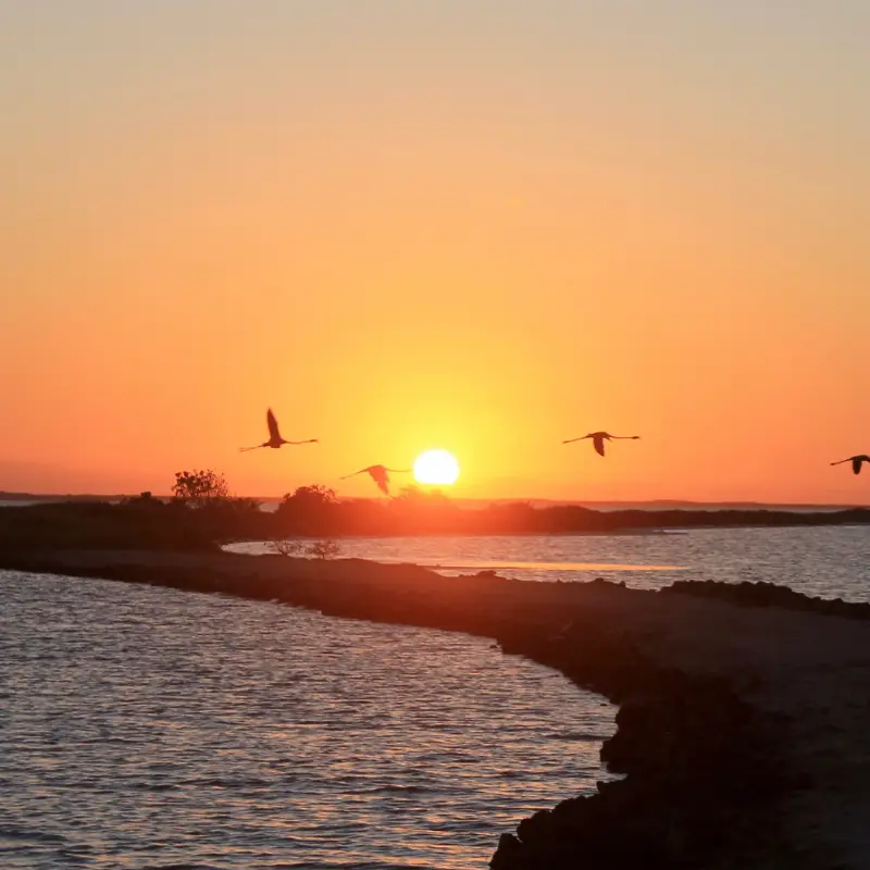 Yucatan Peninsula Travel Guide