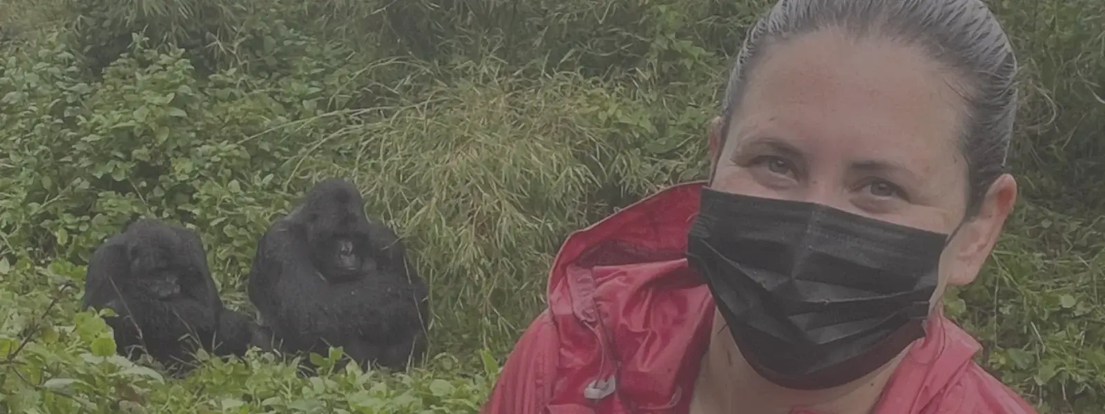 Gorilla Trekking in Rwanda