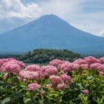 Most Eco-Friendly Countries Around the World