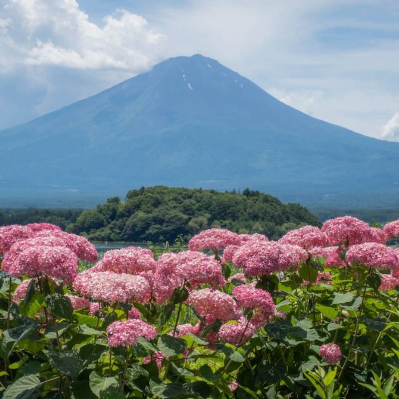 Most Eco-Friendly Countries Around the World