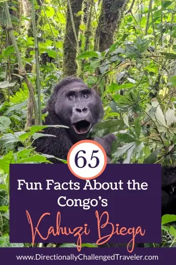 Fun Facts about Kahuzi Biega National Park, DRC 