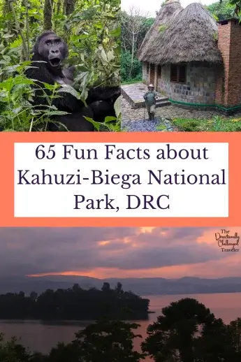 Fun Facts about Kahuzi Biega National Park, DRC