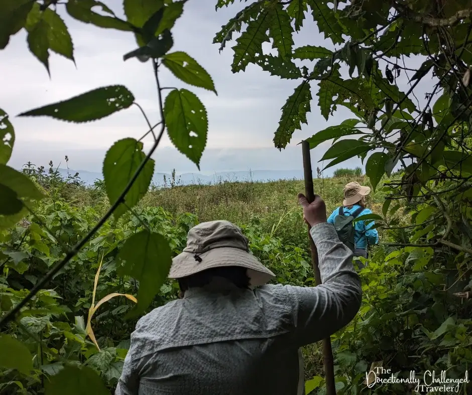 Trekking in Kahuzi Biega National Park