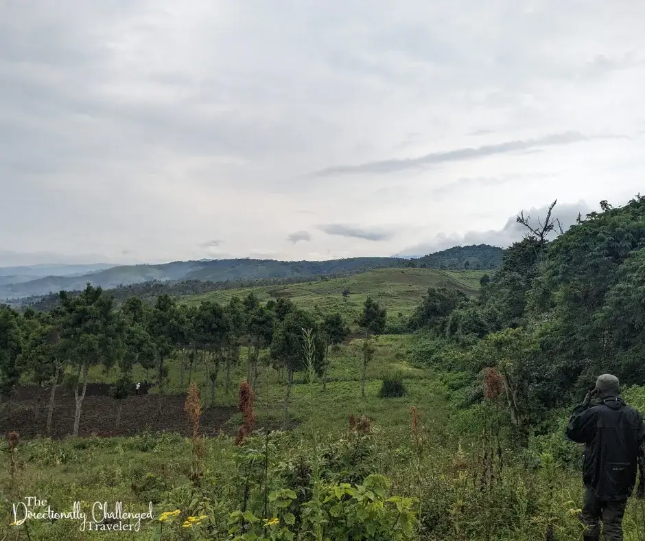 Views while hiking in Kahuzi-Biega National Park. 