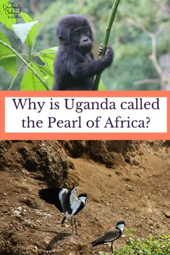 Why Is Uganda Called The Pearl Of Africa 