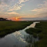 9 Best Books about Chincoteague, Virginia