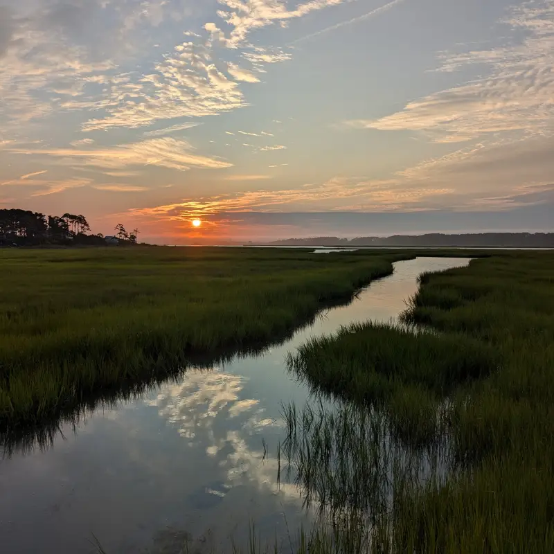 9 Best Books about Chincoteague, Virginia