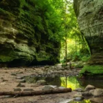 Best Places to Visit in Illinois, USA