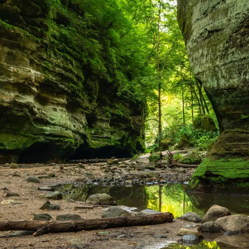 Best Places to Visit in Illinois, USA