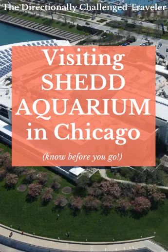 Visiting Shedd Aquarium in Chicago