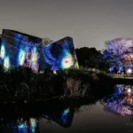 Visiting TeamLabs Botanical Gardens, Osaka