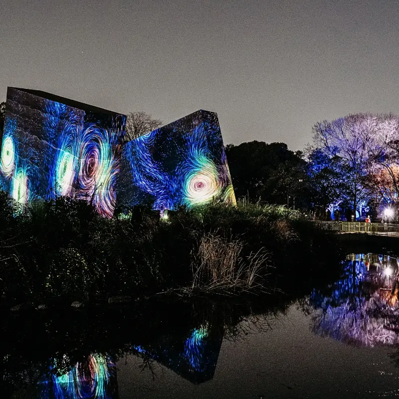 Visiting TeamLabs Botanical Gardens, Osaka