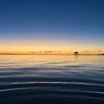 Best Things to Do In Isla Holbox, Mexico