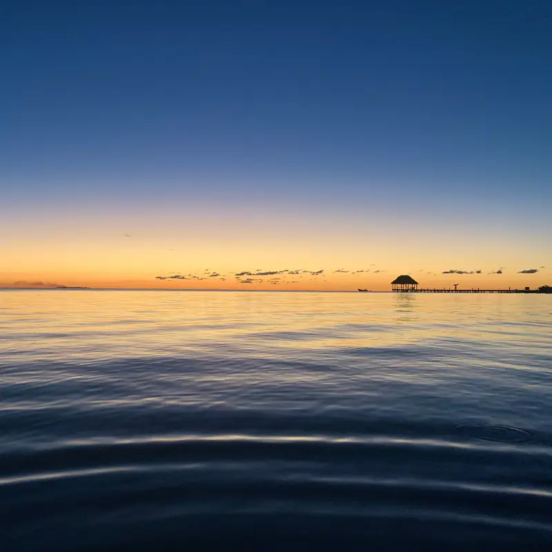 Best Things to Do In Isla Holbox, Mexico