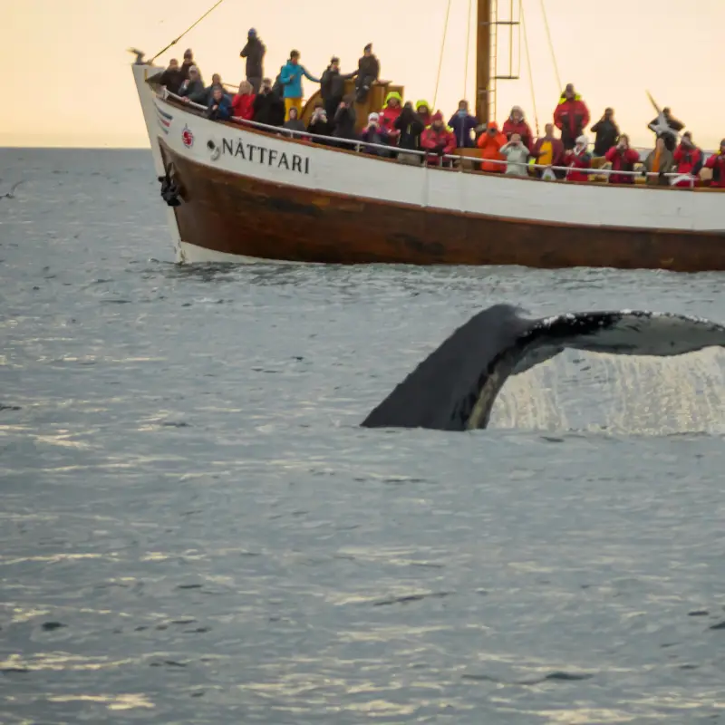 How To Spend 6 Days In Iceland: The Perfect Itinerary