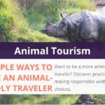 9 Simple Ways to Be an Animal-Friendly Traveler