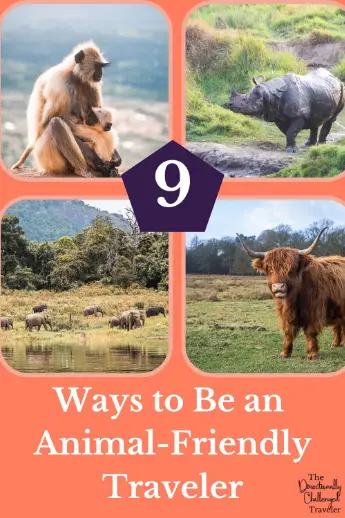 How to be an animal-friendly traveler