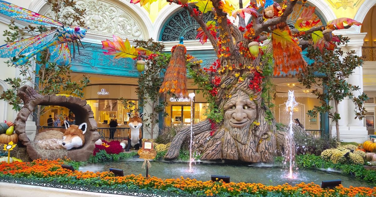 The Best Time to Visit Las Vegas: Month by Month Guide
