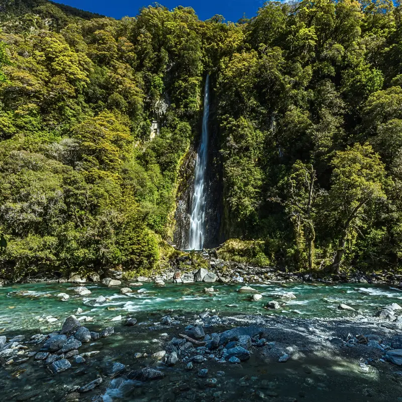 Best Time to Visit New Zealand