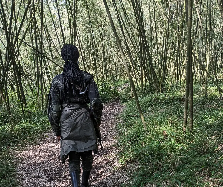 A guide on a walking safari. 