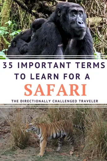 Important Safari Terms to Learn Before You Go