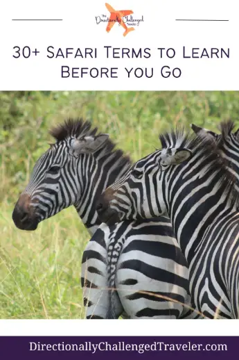 Important Safari Terms to Learn Before You Go