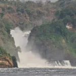 The Ultimate Guide to Murchison Falls National Park, Uganda