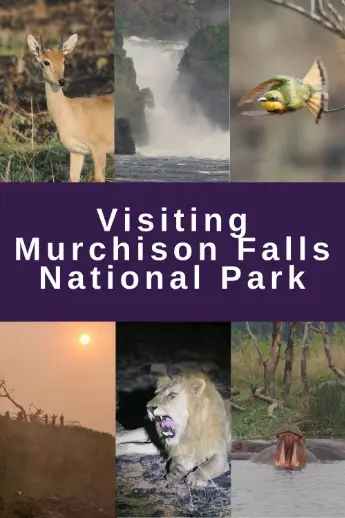 Visiting Murchison Falls National Park, Uganda