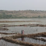 10 Best Movies about Uganda to Watch Before You Visit!