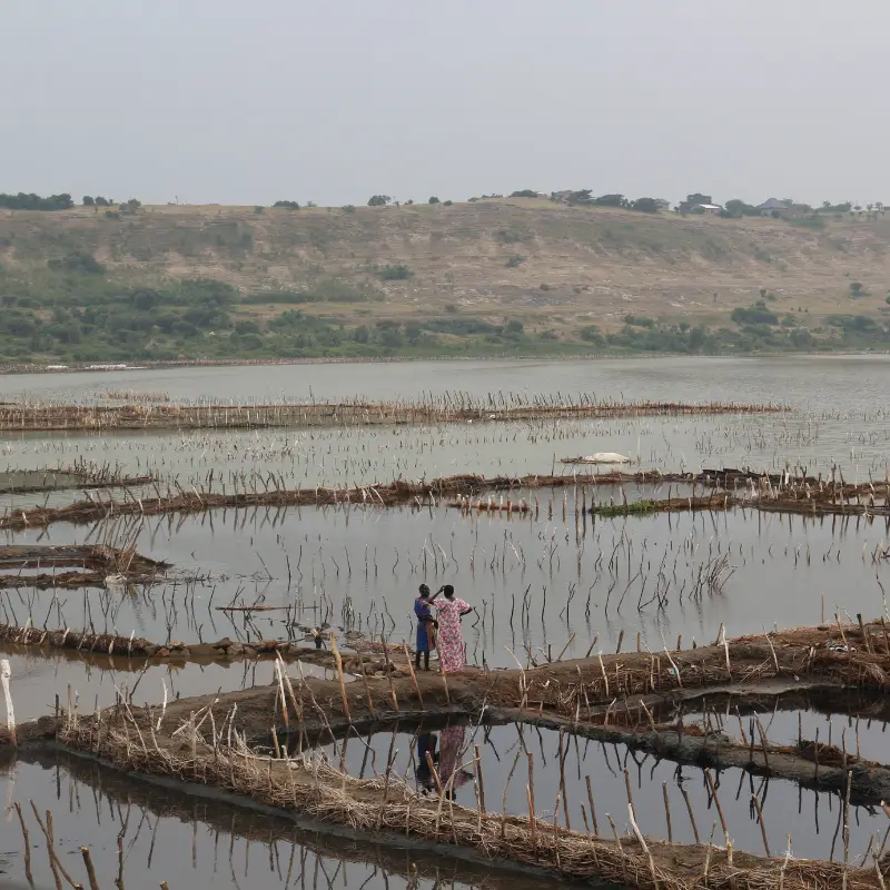 Movies about Uganda to watch before you go