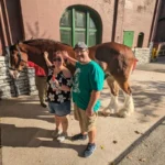Taking a Clydesdale Tour at Anheuser-Busch Brewery in St. Louis
