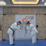 5 Best Cultural Experiences in South Korea that Will Stay with Me Forever