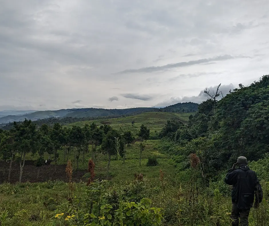 The mountains and farms of the Congo while gorilla trekking.