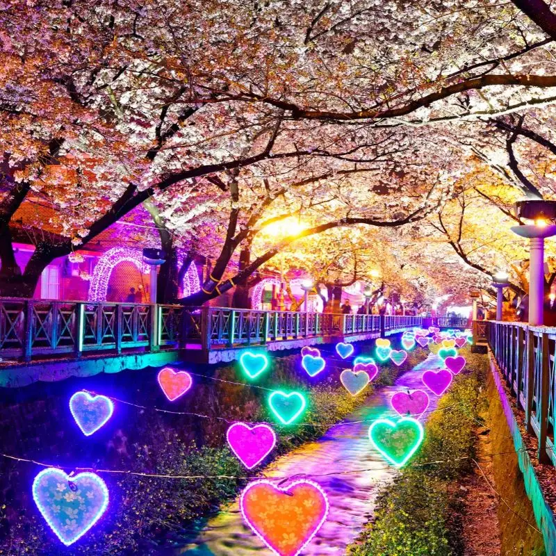 When is the best time to visit Busan, South Korea?